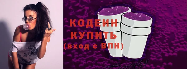 стаф Вяземский
