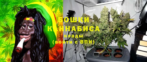 стаф Вяземский