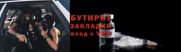 прущие грибы Вязьма
