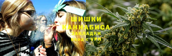 стафф Володарск