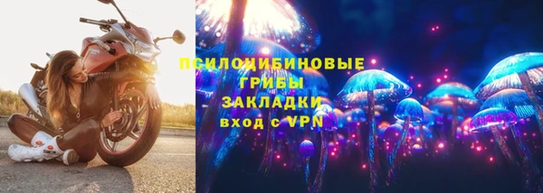 стафф Володарск