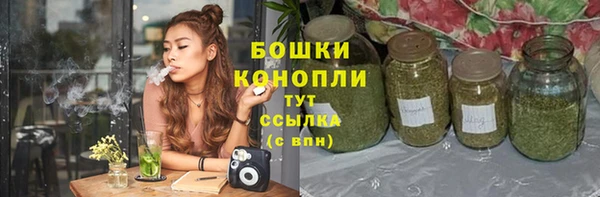 стафф Володарск